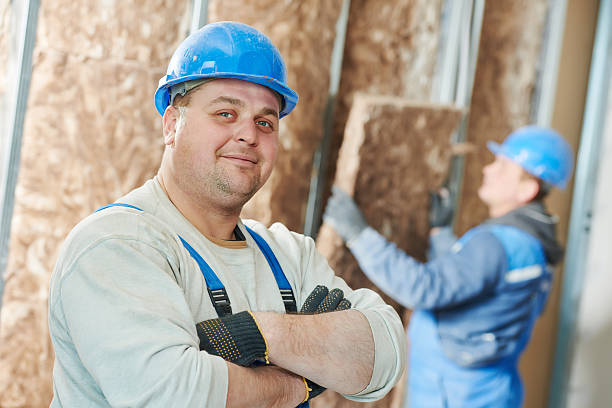 Best Commercial Insulation in Oglesby, IL