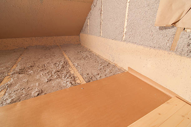 Best Eco-Friendly Insulation in Oglesby, IL